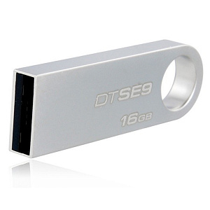 16Gb Kingston DTSE9 серебро 2.0