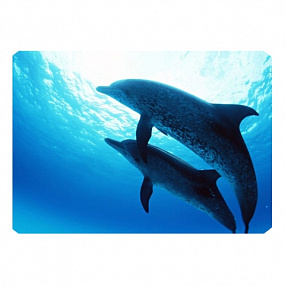 Коврик для мыши Buro пластиковый дельфин 80х230мм