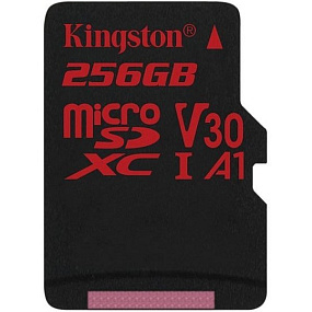 MicroSD 256Gb Kingston Class 10 UHS-I 100Mb/s +SD adapter