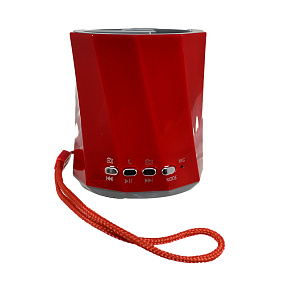Колонка WS-Y89B (MicroSD/USB/FM/AUX) красная