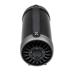 Колонка Dialog Progressive AP-930 (12W/BT/USB/FM/AUX) черная