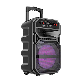 Колонка JBK-0809 (Bluetooth/MicroSD/USB/FM/USB/AUX) 10W черная