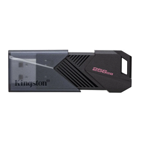 256Gb Kingston Data Travele Exodia Onyx черная 3.2