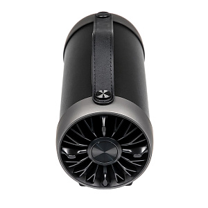 Колонка Dialog Progressive AP-930 (12W/BT/USB/FM/AUX) черная