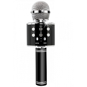 Микрофон WSTER WS-858 беспр/караоке черный
