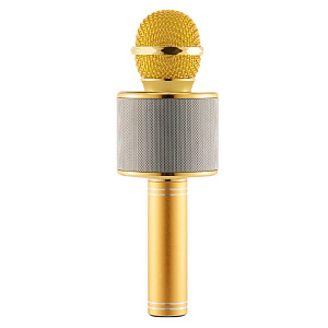 Микрофон WSTER WS-858 5W беспр/караоке золото