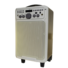 Колонка D18 20W (Bluetooth/MicroSD/USB/FM/AUX/Караоке) 260×180×380мм 