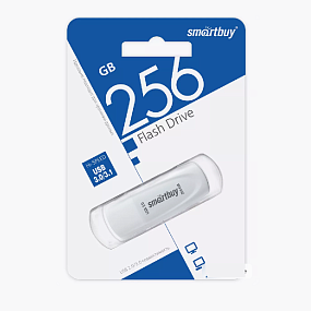 256Gb SmartBuy Scout белая 3.1