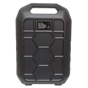 Колонка BS12 (Bluetooth/MicroSD/USB/FM/AUX) черная