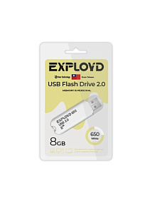 8Gb Exployd 650 белая 2.0