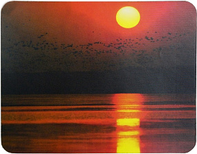 Коврик для мыши Buro пластиковый закат 80х230мм