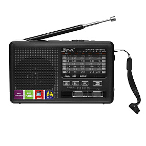 Радиоприемник GOLON RX-2288 черный