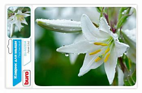 Коврик для мыши Buro пластиковый лилия 80х230мм