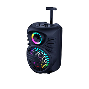 Колонка JBK-1205 (Bluetooth/Microphone/USB/FM/AUX/TF/TWS/LED) 25W черная(УЦЕНКА)потертости, царапины