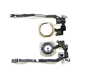 Шлейф iPhone 5S/SE на кнопку HOME в сборе Золотой