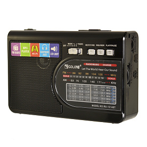 Радиоприемник GOLON RX-1314BT черный