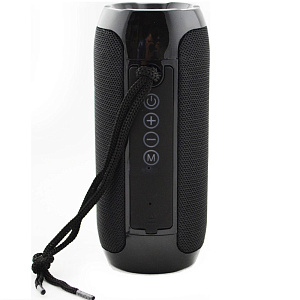 Колонка TG117 (Bluetooth/MicroUSB/FM/AUX) черная