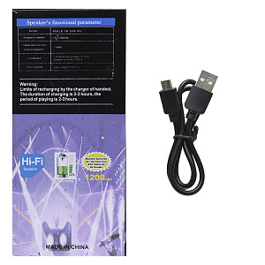 Колонка RS-315 (Bluetooth/MicroSD/USB/FM/AUX) 5W черная