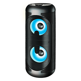 Колонка Ginzzu GM-210 28W (RMS/Karaoke/Bluetooth/FM/USB/SD/LED/ПДУ) черная