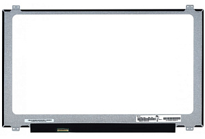 Матрица для ноутбука 17.3 Led 1600*900 (30 pin) Slim TN P/N: NT173WDM-N21 Matte 60Hz