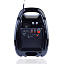 Радиоприёмник-Колонка GOLON RX-810BT (Bluetooth/USB/MicroSD/AUX/FM/LED/микрофон) 30W черный