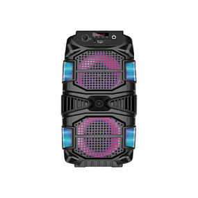 Колонка JBK-6523 (Bluetooth/Microphone/USB/FM/AUX/TF/TWS) 10W черная