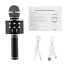 Микрофон WSTER WS-858 беспр/караоке черный