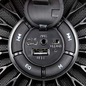 Колонка Dialog Progressive AP-930 (12W/BT/USB/FM/AUX) черная