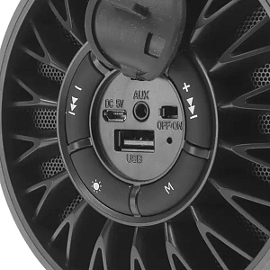 Колонка Dialog Progressive AP-1010 (12W/BT/USB/FM/AUX) черная