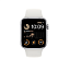 Часы наручные Apple Watch SE2 44mm серебро