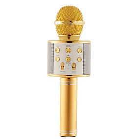 Микрофон WSTER WS-858 5W беспр/караоке золото