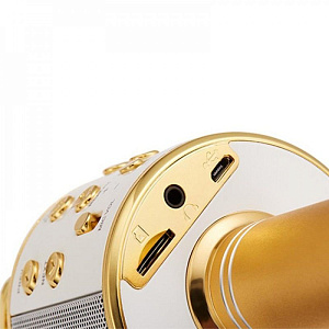 Микрофон WSTER WS-858 5W беспр/караоке золото