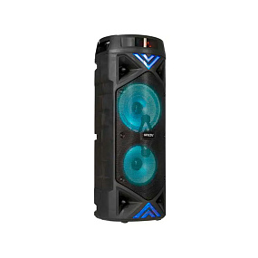 Колонка Ginzzu GM-209 50W (RMS/Karaoke/Bluetooth/FM/USB/SD/LED/ПДУ) черная