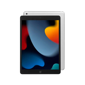 Apple iPad 10 Wi-Fi 256GB Silver 