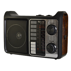 Радиоприемник GOLON RX-333BT под дерево 
