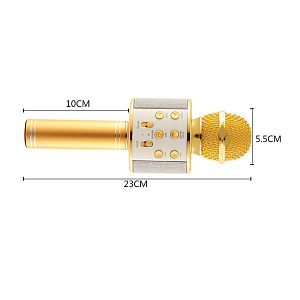 Микрофон WSTER WS-858 5W беспр/караоке золото