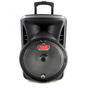 Колонка FH-A15 (Bluetooth/MicroSD/USB/FM/пульт/AUX/Microphone) 20W черная