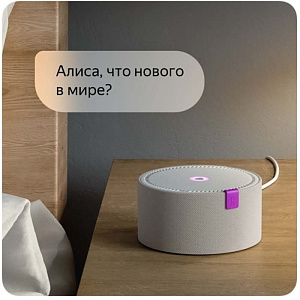 Умная колонка Яндекс Станция Мини черная