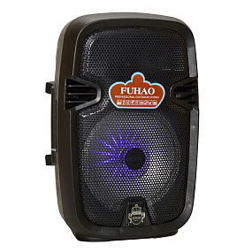 Колонка FH-A08 (Bluetooth/MicroSD/USB/FM/AUX/Microphone) черная (УЦЕНКА) Не товарный вид