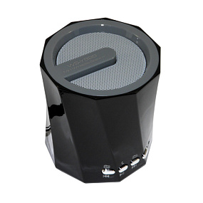 Колонка WS-Y89B (MicroSD/USB/FM/AUX) черный
