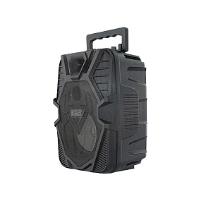 Колонка Celebrat OS-06 (Bluetooth/USB/FM/AUX) 5W черная