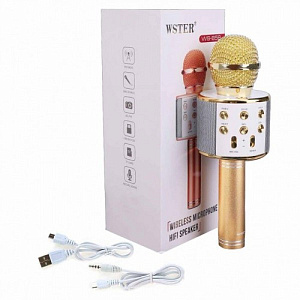 Микрофон WSTER WS-858 5W беспр/караоке золото