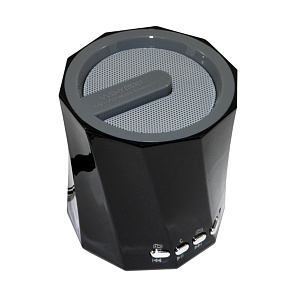 Колонка WS-Y89B (MicroSD/USB/FM/AUX) черный