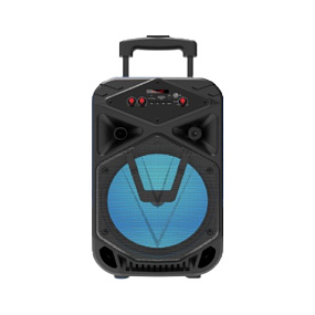 Колонка JBK-0810 (Bluetooth/Microphone/USB/TF/FM/TWS/AUX) 10W черная