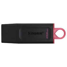 256Gb Kingston Data Travele Exodia черный/розовый 3.2