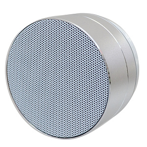 Колонка A10U (Bluetooth/MicroSD/USB/FM) серебро