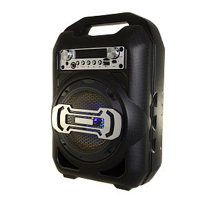 Колонка BS11 (Bluetooth/MicroSD/USB/FM/AUX) черная