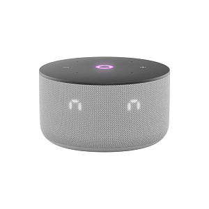 Умная колонка Яндекс Станция Мини 3 с часами 12W серая