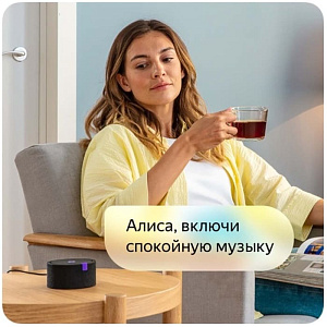 Умная колонка Яндекс Станция Мини черная
