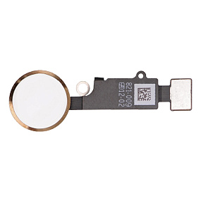 Шлейф iPhone 7/7 Plus/8/8Plus/SE (2020/2022) на кнопку HOME в сборе Золото - Премиум